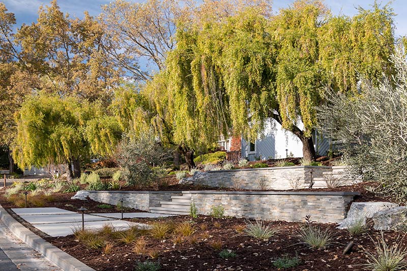 Weeding | Fernandez Bros Inc. | Bay Area CA